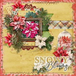 Snowy Blooms