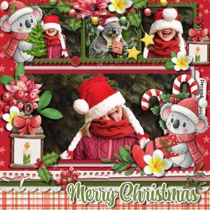 DLPatt_MerryChristmasKoalaDecember2025_web.jpg