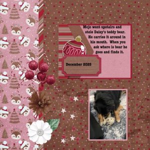 2025-12-12-mojo-bear.jpg