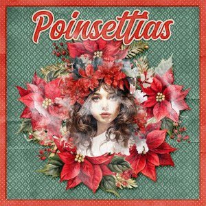Poinsettias.jpg