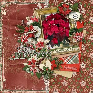 Festive Blooms