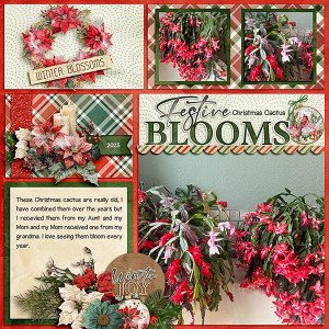 Christmas-Cactus.jpg