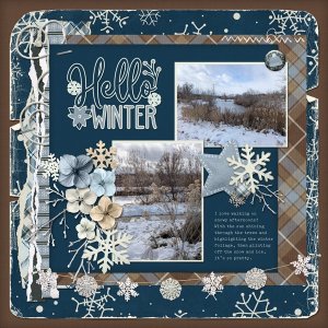 Winter Walk