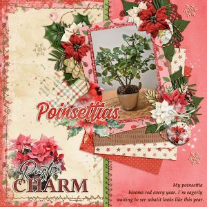 rustic charm