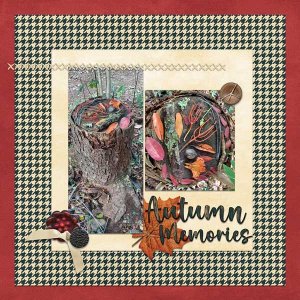 DD-Autumn-Memories.webv.jpg