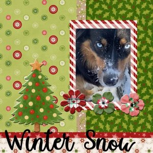 2025-12-14-mojo-snow.jpg