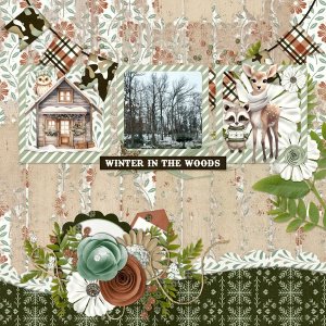 Winter in the Woods