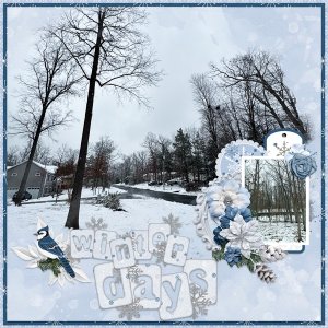 Winter Days