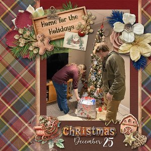 Home for the Holidays in 2023