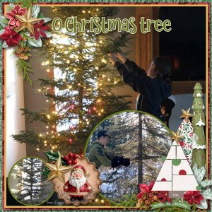 O Christmas Tree