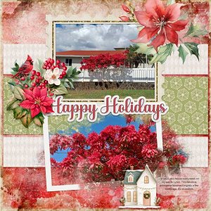 Poinsettia-webv.jpg