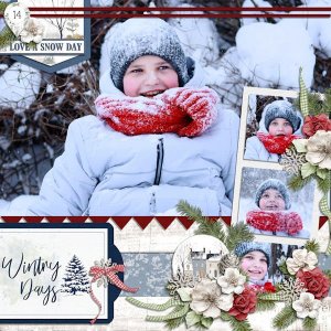 Wintry Days