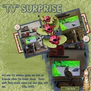TV Surprise