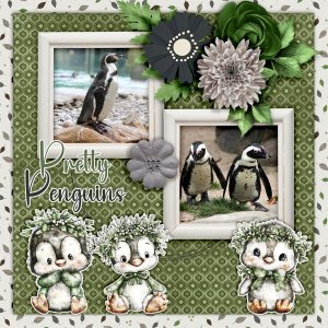 Pretty-penguins.jpg