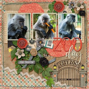 Zoo Day
