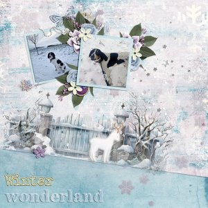 winter wonderland in december