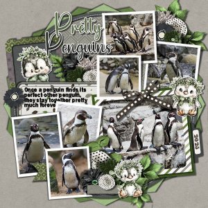 DLPatt_PrettyPenguins_web.jpg