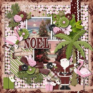 DLPatt_Tropical Noel_web.jpg