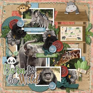 DLPatt_BornToBeWildZooPendous_web.jpg