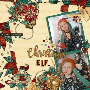 Christmas Elf
