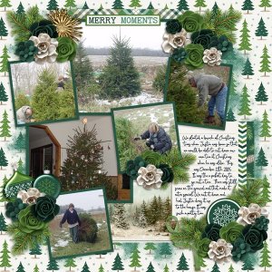 Paint Chips Evergreen with Super Six 8 Temp #4-Connie Prince.jpg