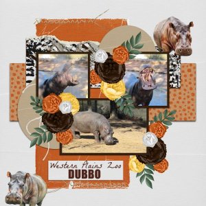 Western Plains Zoo Dubbo