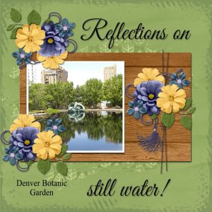 REFLECTIONS ON STIL WATER