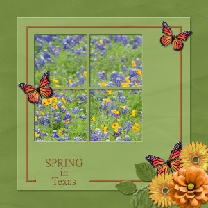 SPRING IN TEXAS