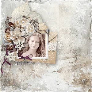 Snow-KissedMemories