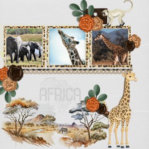 Africa.jpg