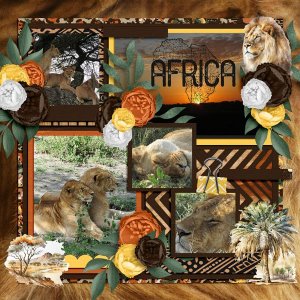 Serengeti