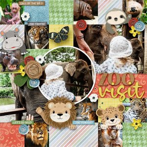 Zoo Visit
