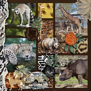 Serengeti