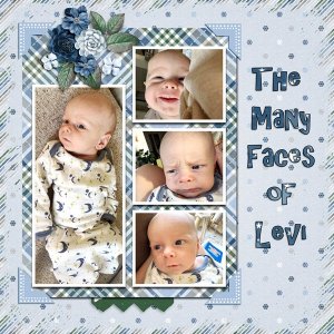 Faces of Levi