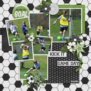 Go-for-the-Goal.jpg