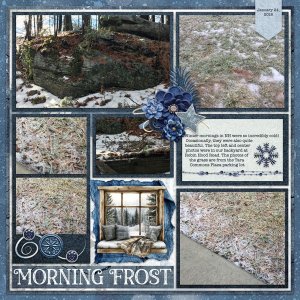 Morning Frost