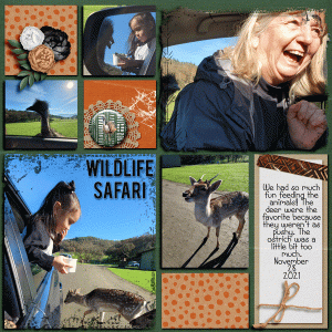 Wildlife-21.gif