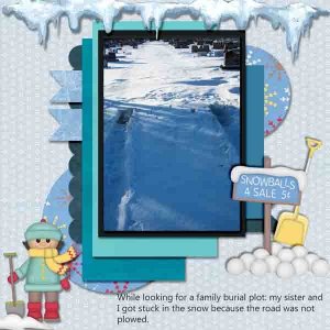 08  Stuck in Snow -- Photography.jpg