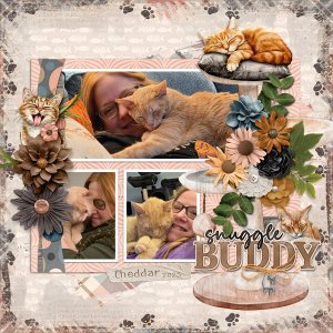 Snuggle-Buddy-Cheddar-2025.jpg
