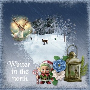 Winter-in-the-north.jpg