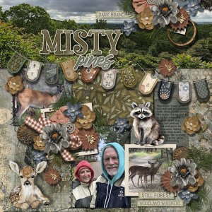 DLPatt_Misty Pines_web.jpg