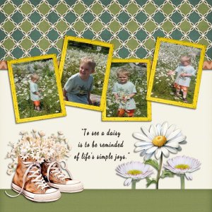 a daisy simple joy
