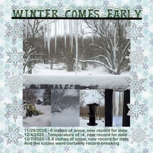 Early winter 2025