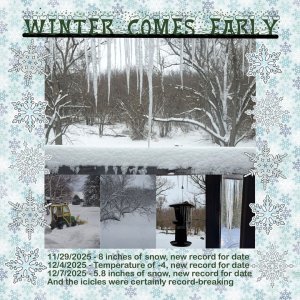 Early winter 2025