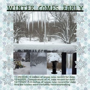 11-Early-winter.jpg