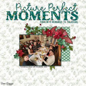 Picture Perfect