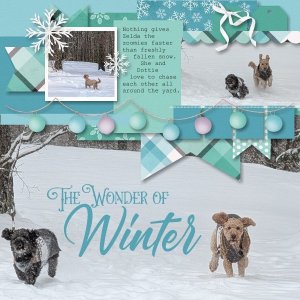 Wonder of Winter 2025.jpg