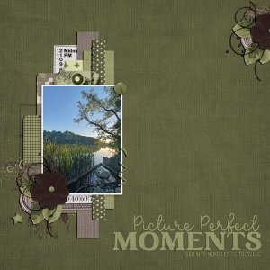 picture perfect moments