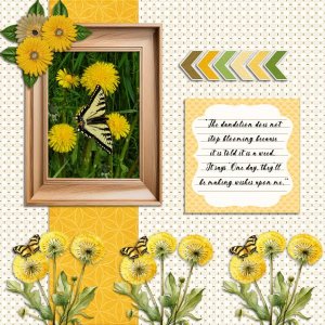 Dandelions bloom