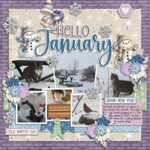 Hello January